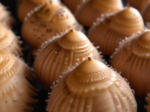 Business trend in 2024 and rubber ducky isopod